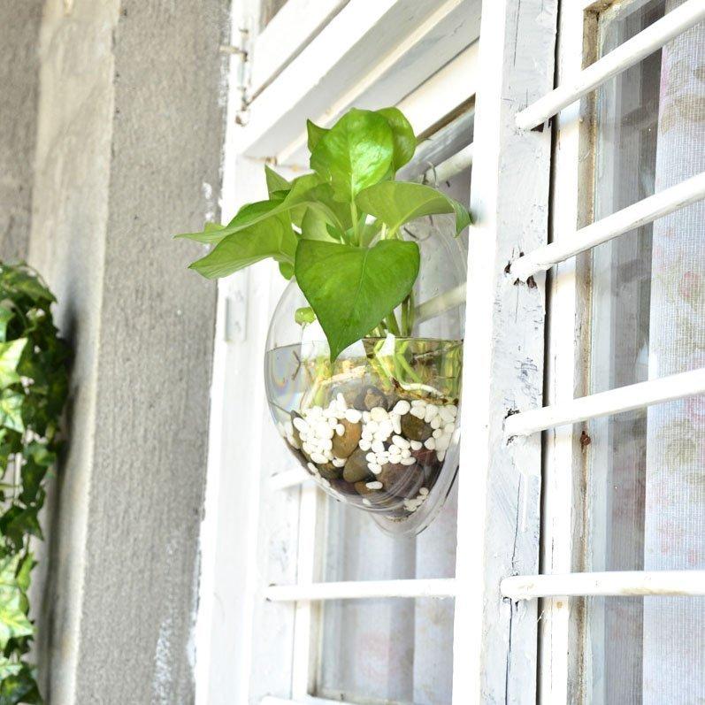 Wall Mounted Plant Bowl - Image 5
